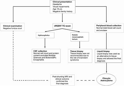 Pilocytic Astrocytoma-Derived Cells in Peripheral Blood: A Case Report